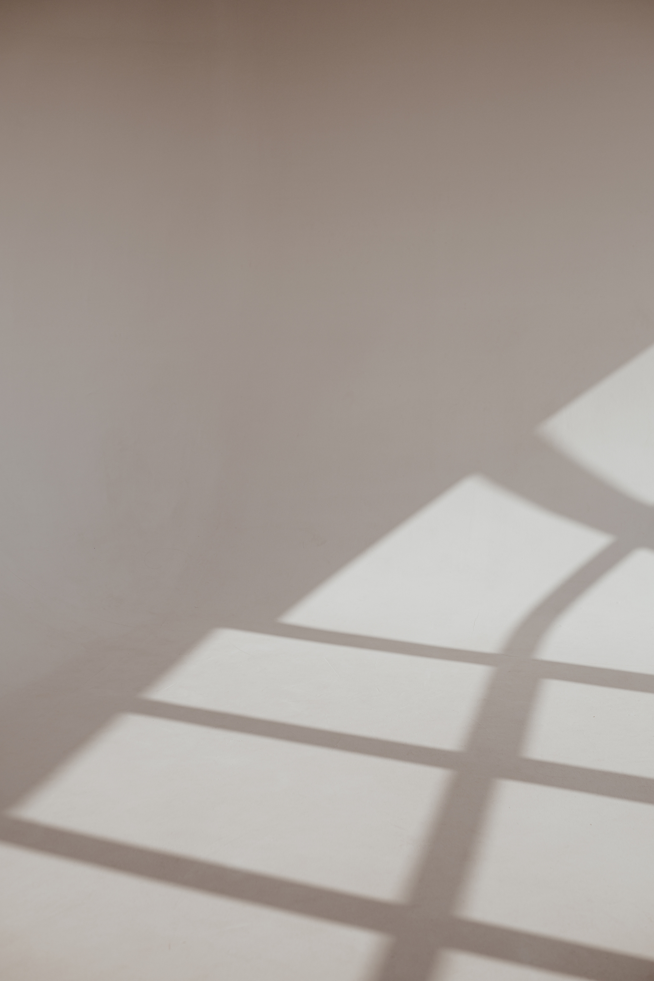 Shadow of Leaves on a Wall